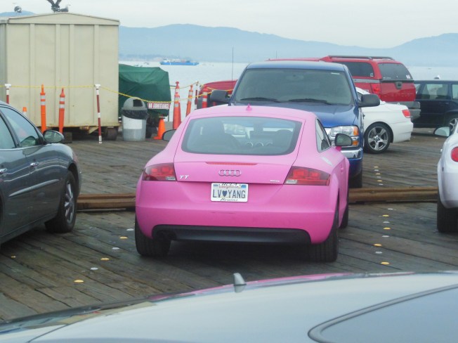 i love pink too, but seriously?